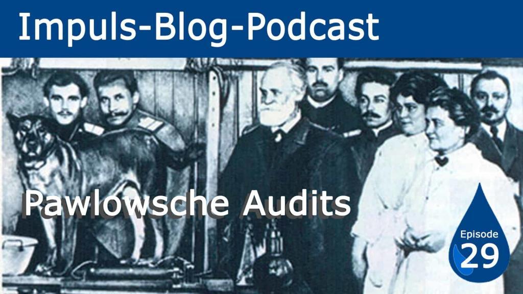 Pawlowsche Audits