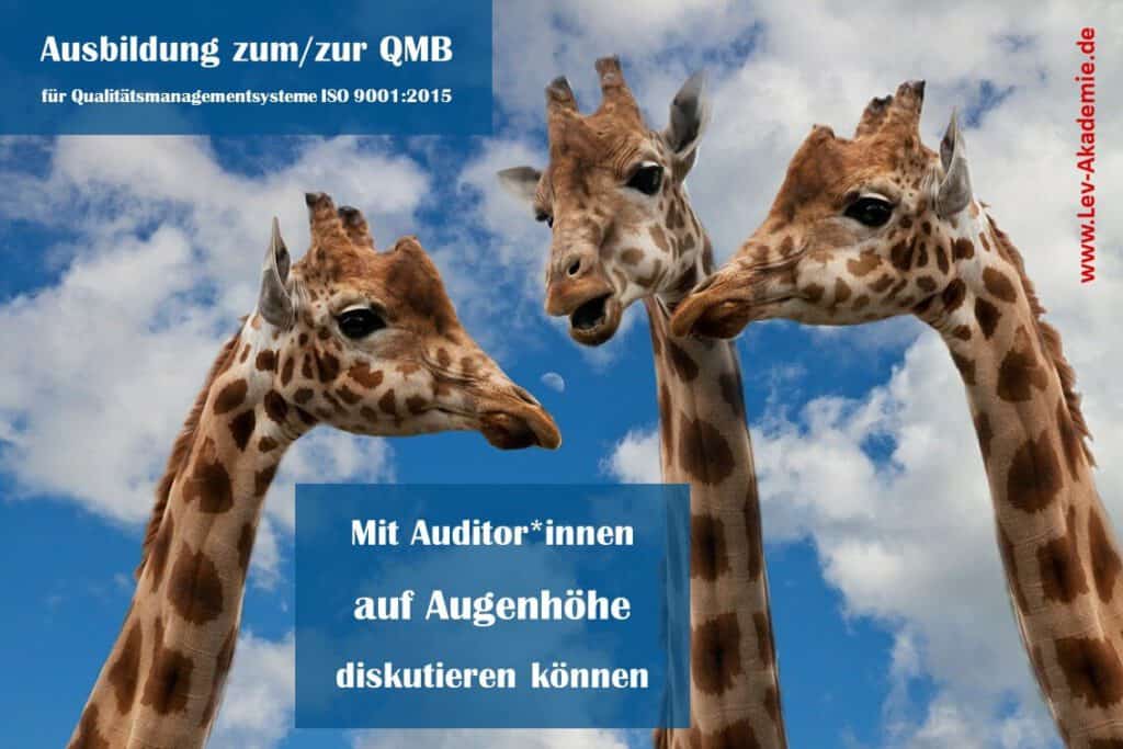 Online QMB-Ausbildung ISO 9001