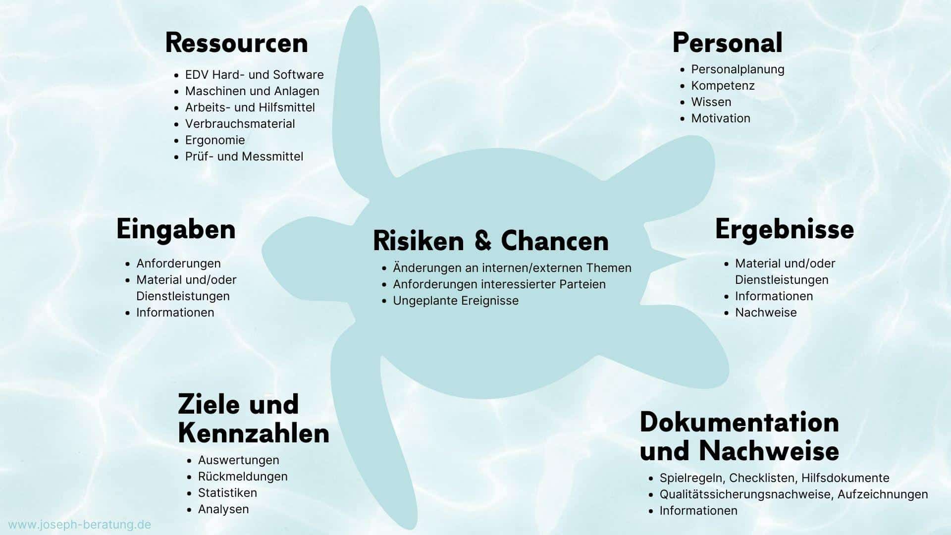 Das Turtle Diagramm zeigt Aufgaben für Prozesseigner.