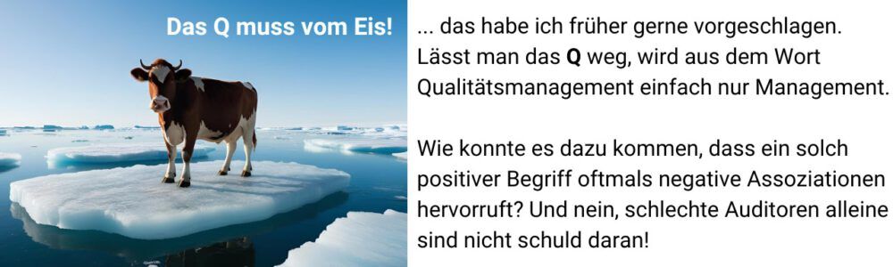 Das Q muss vom Eis! ... das habe ich früher gerne vorgeschlagen.
Lässt man das Q weg, wird aus dem Wort Qualitätsmanagement einfach nur Management.

Wie konnte es dazu kommen, dass ein solch 
positiver Begriff oftmals negative Assoziationen
hervorruft? Und nein, schlechte Auditoren alleine sind nicht schuld daran!