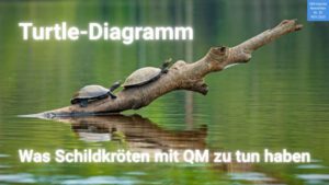 36 Schildkroeten - Turtle-Diagramm - Vom VDA 6.3 zu Schildkröten im QM-System