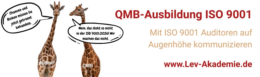 Werbung für den Videokurs der Lev-Akademie "QMB-Ausbildung ISO 9001"